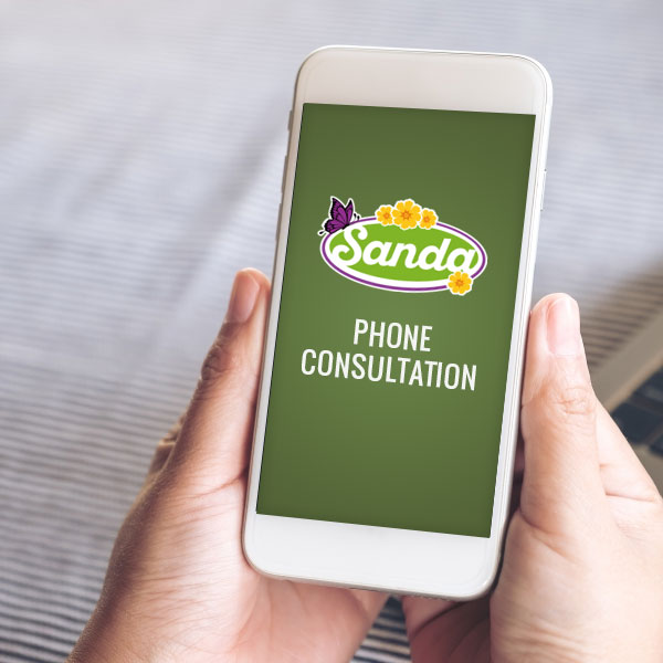 Phone Consultation